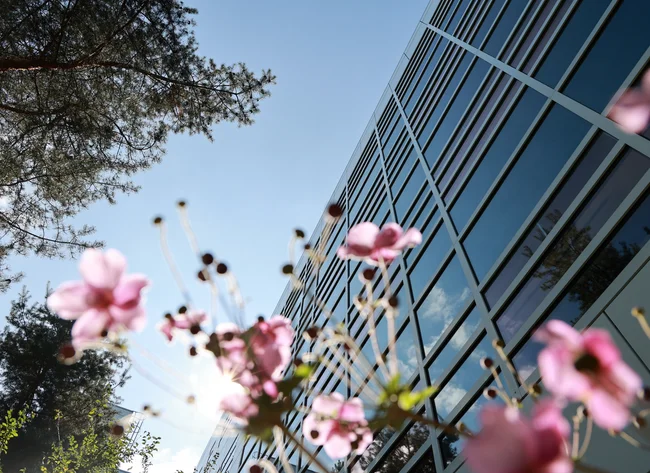 In the foreground of the picture are pink flowers. The background shows trees and the windows of a DRÄXLMAIER building.