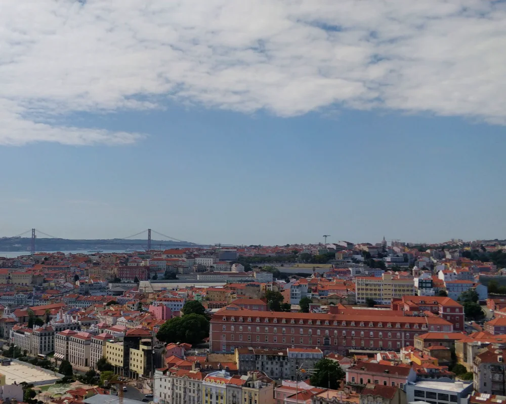 The picture shows the skyline of a city with many houses near the sea.