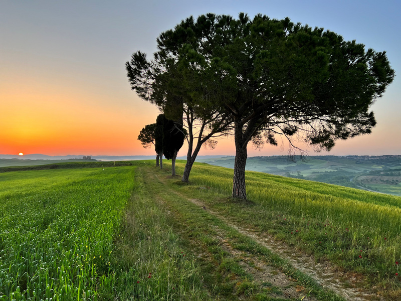Photographing landscapes is Gianni's passion - like here in Montalcino, Italy.