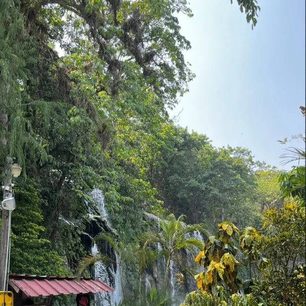 Natur von Mexiko mit Wasserfall