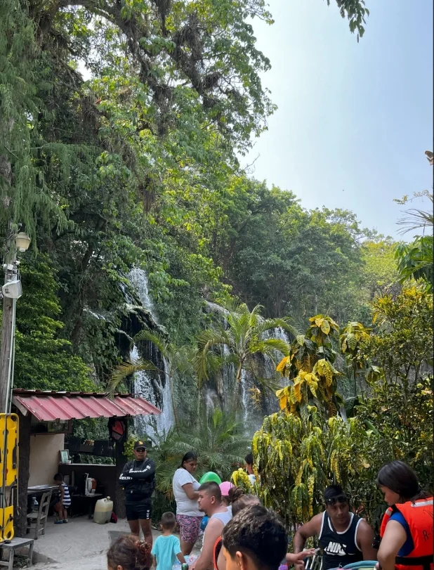 Nature of Mexico with waterfall