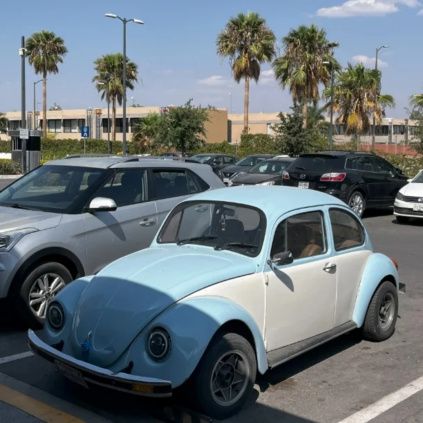 Autos in Mexiko