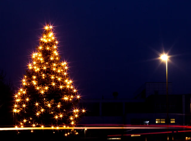 An illuminated Christmas tree on the DRÄXLMAIER site at night. 