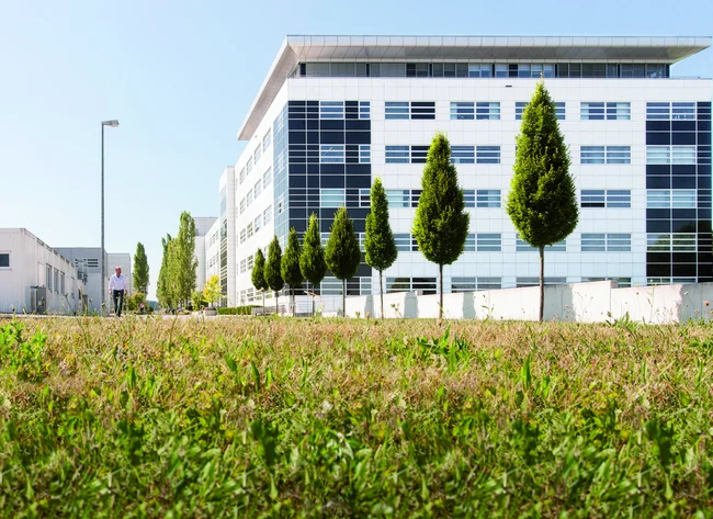 A DRÄXLMAIER building at the headquarters in Vilsbiburg. In the foreground are trees and a green area.