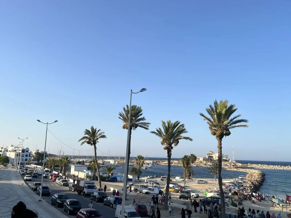 Ausblick auf das Meer mit Palmen