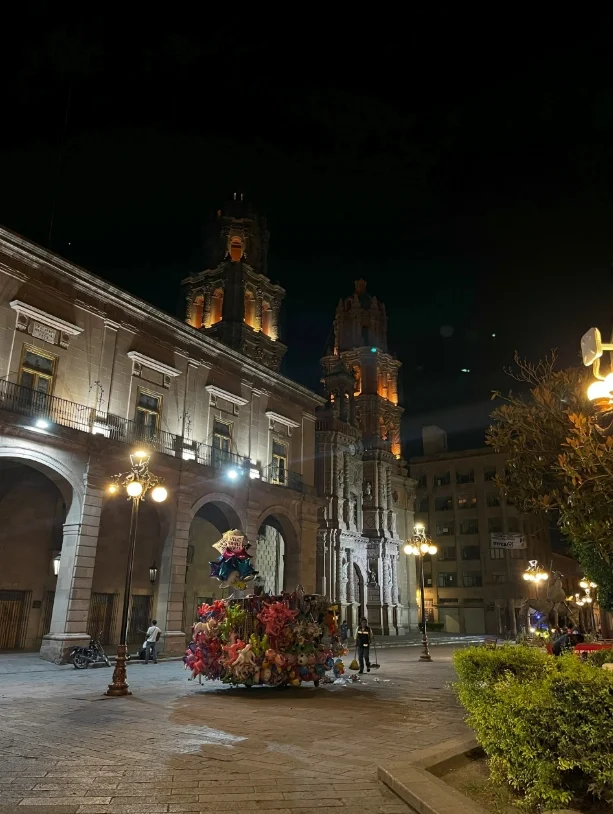 Mexico city in the evening